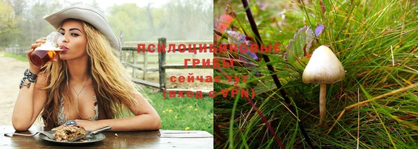 ешки Алексин