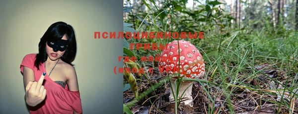 кристаллы Алексеевка
