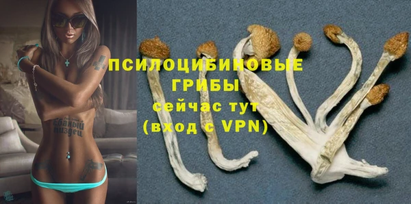 a pvp Алзамай