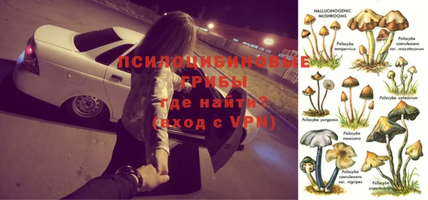 ешки Алексин