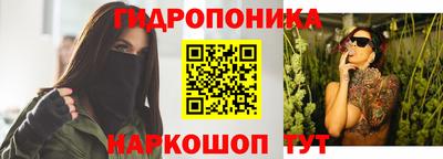 твердый Моздок