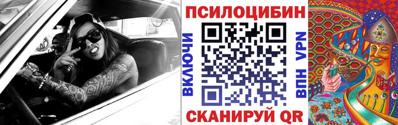 Псилоцибиновые грибы Cubensis Ревда