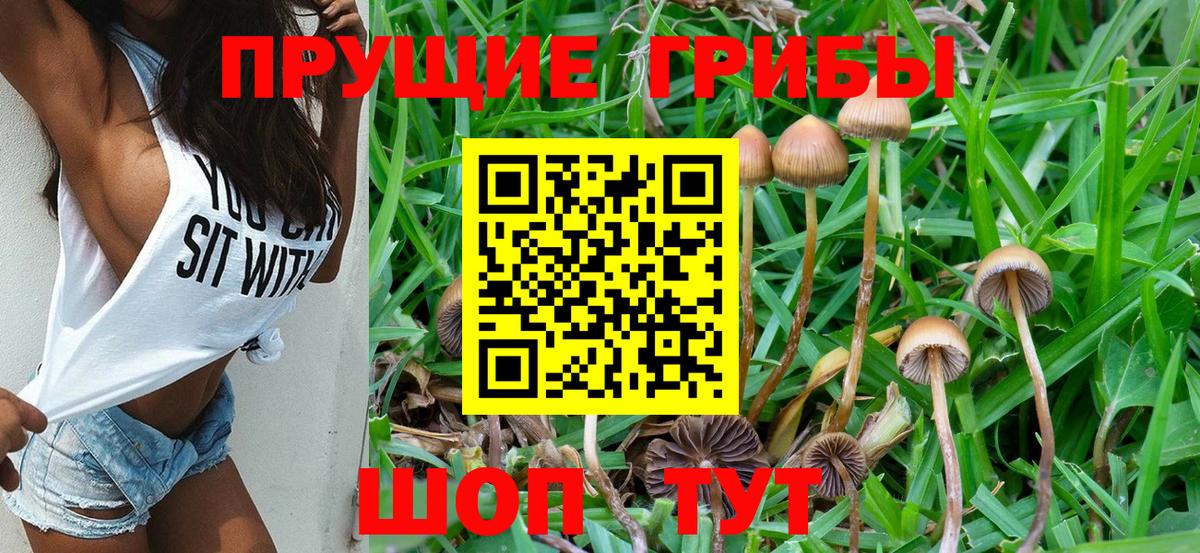 Псилоцибиновые грибы Psilocybine cubensis Ревда
