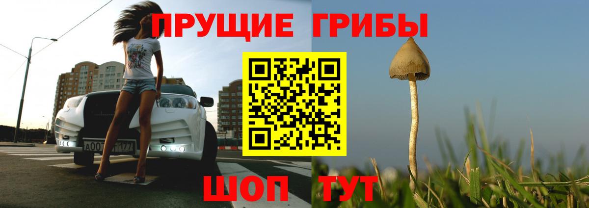 Ревда  Галлюциногенные грибы GOLDEN TEACHER  Псилоцибиновые грибы ЛСД  Вход с VPN 